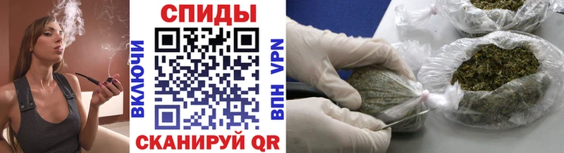 Бутират буратино  Купить где  Купино 