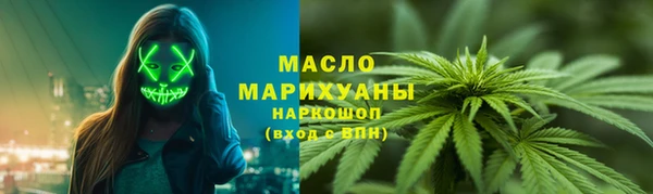 мдпв Богородск