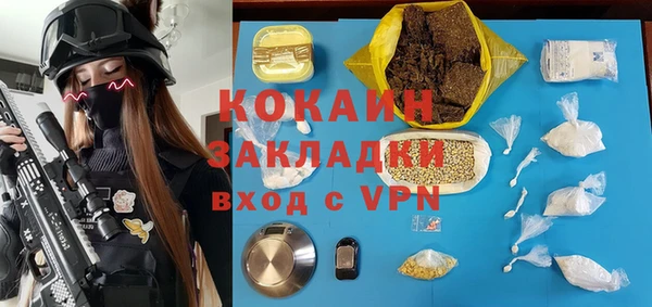 мдпв Богородск