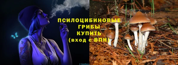 мяу мяу мука Богданович