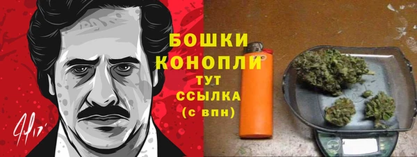 мдпв Богородск
