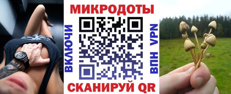 Купить где Купино Псилоцибиновые грибы Psilocybine cubensis