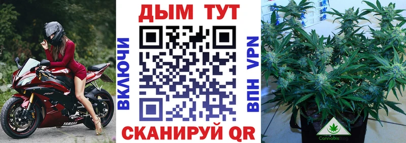 Каннабис Bruce Banner  Купить где  Купино 